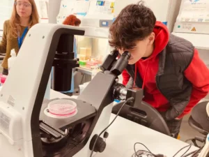 Centre recerca batxillerat