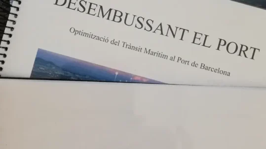 Treball recerca batxillerat